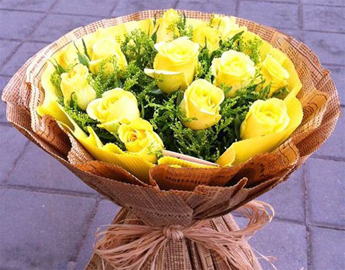 黄玫瑰和香槟色玫瑰可用于道歉吗？有什么区别？