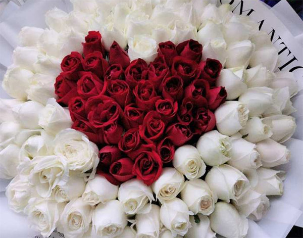 情人节可以送女朋友白玫瑰吗？