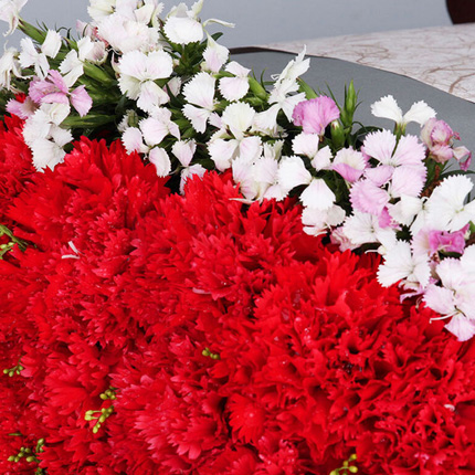 母爱无价 - 33枝红色康乃馨搭配相思梅送父母长辈鲜花