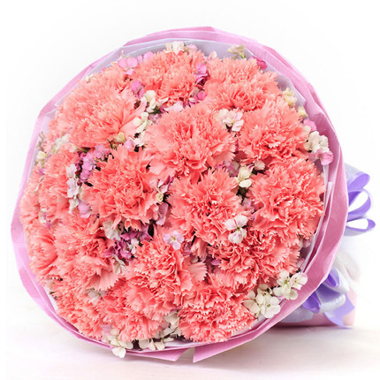 母爱永恒-19朵粉色康乃馨、搭配相思梅创意花束送妈妈鲜花