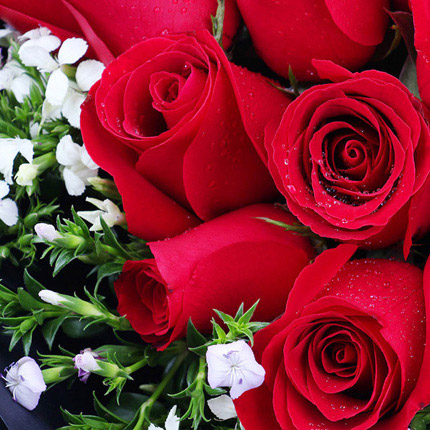 一生所爱-33朵红玫瑰，搭配相思梅点缀爱情鲜花