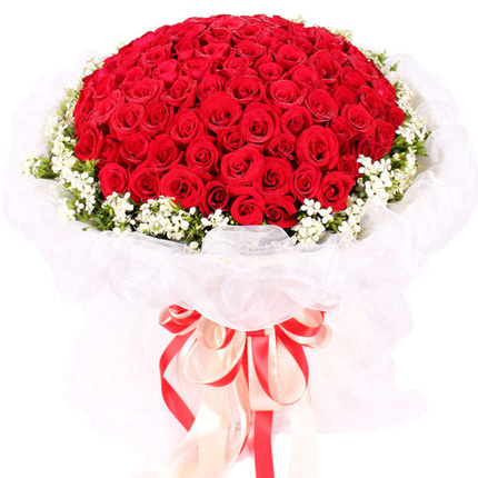 真心诚意-66枝红玫瑰，外围石竹梅送恋人爱情鲜花