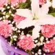 感恩有你-21枝粉康乃馨+2枝香水百合，搭配满天星送长辈花束
