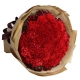 爱的牵挂-33朵红色康乃馨，搭配石竹梅母亲节鲜花