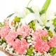 暖暖问候-19枝粉色康乃馨，搭配满天星母亲节鲜花