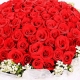 真心诚意-66枝红玫瑰，外围石竹梅送恋人爱情鲜花