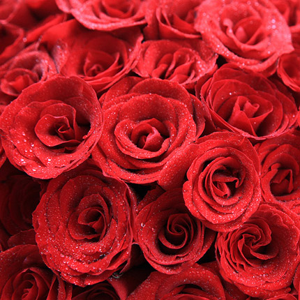 最真的爱-11朵红玫瑰+2个小熊爱情花束