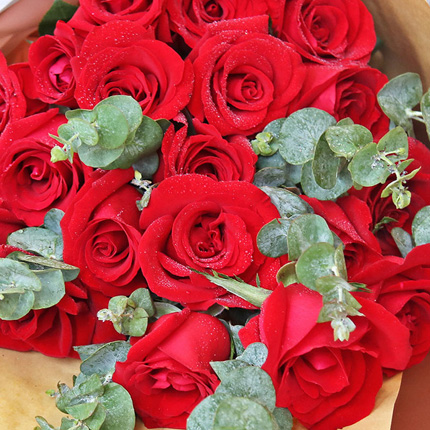 悠悠情缘 - 19朵红玫瑰，搭配尤加利叶爱情鲜花
