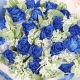 长相依-19朵蓝色妖姬，搭配叶上花爱情鲜花送爱人