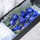 挚爱一生-11朵蓝色妖姬，搭配情人草、尤加利创意花盒