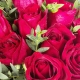 执着的爱-11枝红玫瑰，搭配尤加利叶