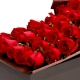 情真意切-33朵红玫瑰，搭配相思梅