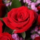 爱的纪念日-11枝红玫瑰，搭粉色勿忘我、栀子叶