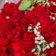 温暖常伴-19枝红色康乃馨+满天星尤加利