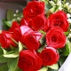 爱的宣言-11枝红玫瑰，配满天星、栀子叶