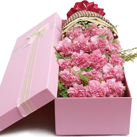美好祝福-19枝粉康乃馨，搭配满天星礼盒