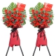 宏图大展-30朵红色扶朗花，搭配情人草、龟背叶