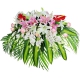 鸿运福星-多头粉+白百合、红掌、粉玫瑰，搭配洋兰、巴西叶、散尾葵