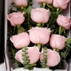 粉色爱恋-11枝雪山粉玫瑰，搭配尤加利叶