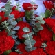 幸福无边-33枝红色康乃馨，搭配尤加利叶