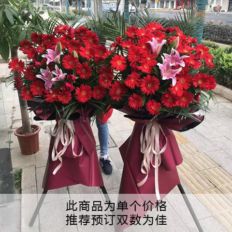 红红火火-30朵红色扶郎花、3朵粉百合，散尾葵